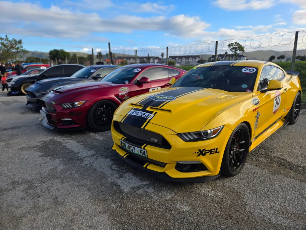 Mustangssssss